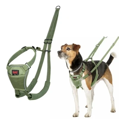 Afbeelding van HALTI No Pull Hondentuig Om te voorkomen dat uw hond aan de lijn trekt. Verstelbaar en lichtgewicht. Reflecterend hondentrainingsharnas voor speelgoed kleine honden (Maat XS, Bos Groen)