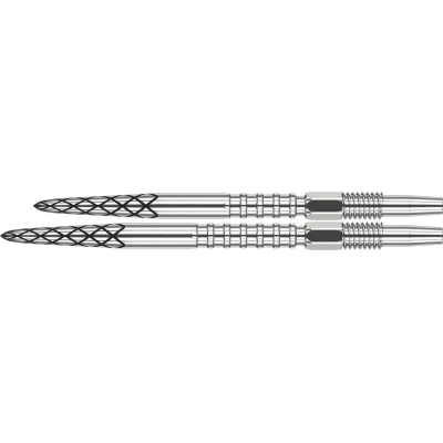 Afbeelding van Target Swiss DS Surge Dart Points Silver 35 mm