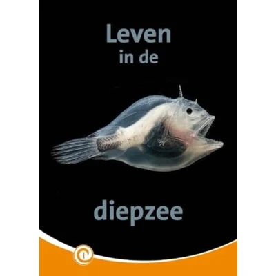 Afbeelding van Leven in de diepzee (Hardback)