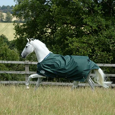 Afbeelding van Bucas Green Line Turnout 300g 120/160 cm Groen