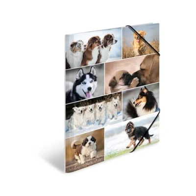 Afbeelding van HERMA 19218 verzamelmap DIN A3 dieren honden, 3 delige set, stevig karton, opbergmap met bedrukte binnenkleppen en elastiek, documentenmap voor kinderen, jongens meisjes