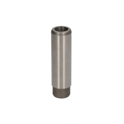 Afbeelding van Mahle Original Klepgeleider 227 FX 30406 000