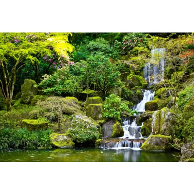 Afbeelding van Papermoon Fotobehang Garden Pond