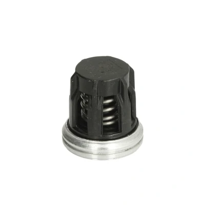 Afbeelding van Dt Spare Parts Overstroomklep 1.10275