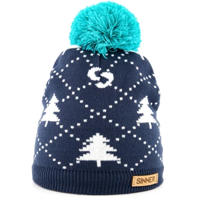 Afbeelding van SINNER tokyo beanie Muts heren Blauw Multicolour