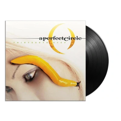 Afbeelding van A Perfect Circle Thirteenth Step