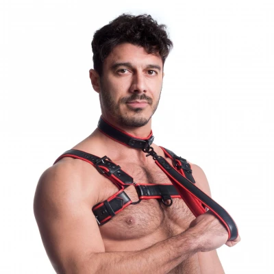Afbeelding van Vegan Leren Halsband Zwart/Rood