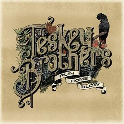 Afbeelding van The Teskey Brothers Run Home Slow (CD)
