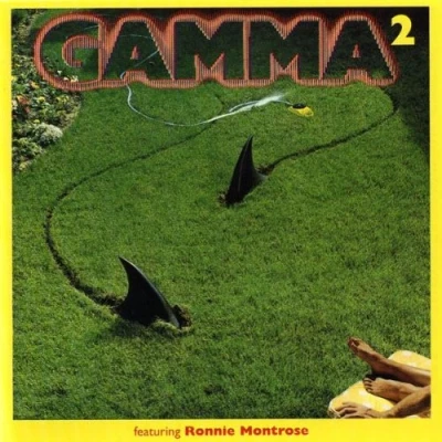 Afbeelding van Gamma