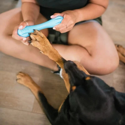 Afbeelding van West Paw Hurley Super Sterk Kauwbot voor Hond met Zogoflex � Blauw S