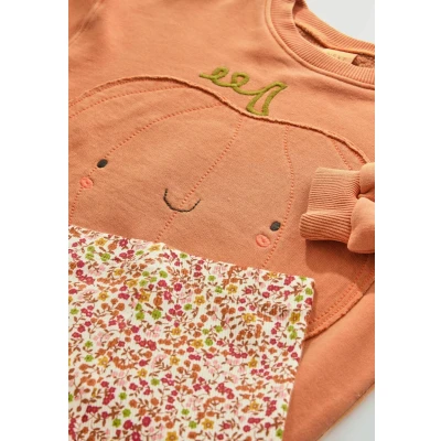 Afbeelding van Next Regular FIT SET Sweater voor kinderen, Maat: 80, Orange halloween pumpkin