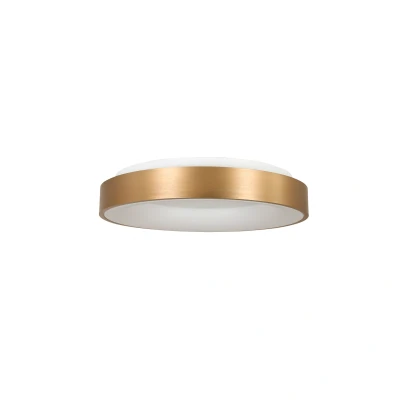Afbeelding van Steinhauer plafondlamp Ringlede 1 lichts 30x9 cm goud