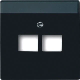 Afbeelding van Busch Jaeger antraciet centraalplaat voor datadoos 2 x RJ45 1803 02 81