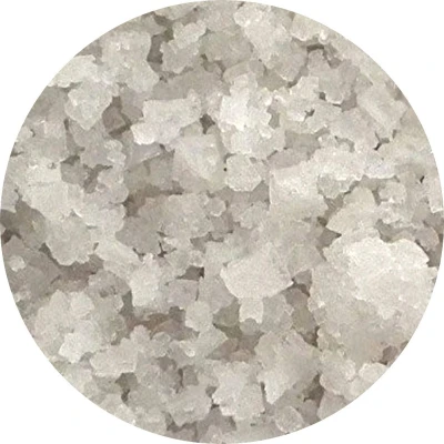 Afbeelding van Van Beekum Specerijen Keltisch Zeezout Grof 25 KG Zak (bulk verpakking)