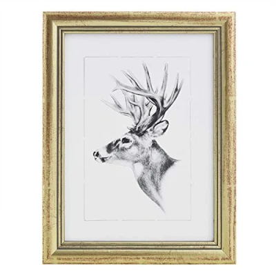 Afbeelding van WOLTU 1 Stuck Fotolijstje 20x25cm structuur in Houten en paneel glas,Goud BR9671gd
