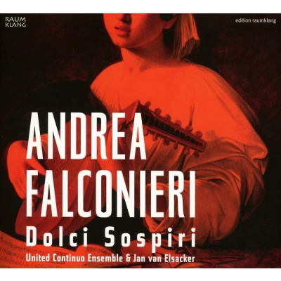 Afbeelding van United Continuo Ensemble Dolci Sospiri (CD)