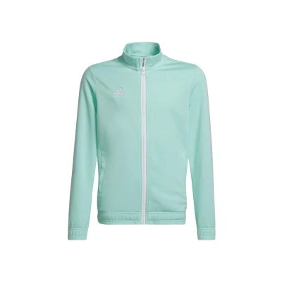 Afbeelding van adidas Uniseks Kind Entrada 22 Track Jacket, clear mint, 15 16 Years