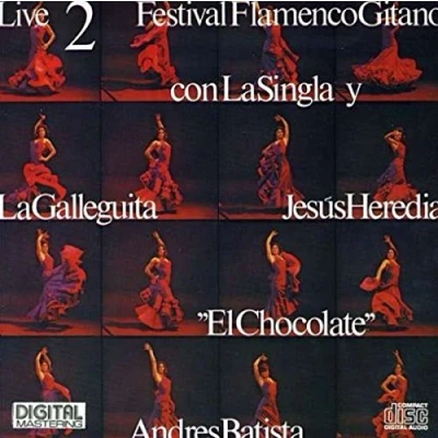 Afbeelding van Festival Flamenco Gitano