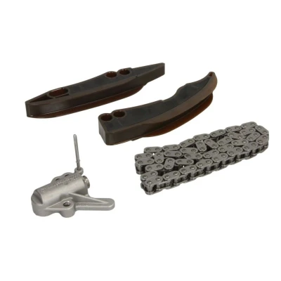 Afbeelding van Swag Distributieketting kit 20 94 8775