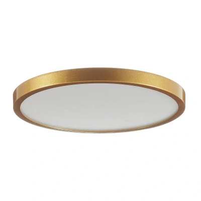 Afbeelding van ORION Ronde LED plafondlamp Vika 30 cm