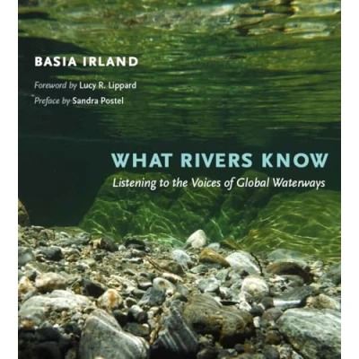 Afbeelding van What Rivers Know