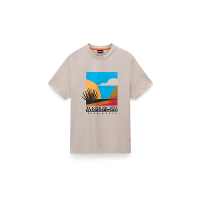 Afbeelding van Napapijri Arbia Tshirt print, Heren, Maat: Medium, Feather grey