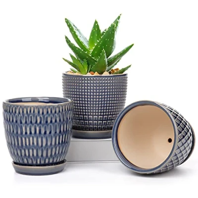Afbeelding van Oairse Bloempot, keramische plantenpotten, 3 delige set, rond, vetplantenpot, klein, met afvoergat en schaal voor vetplanten, cactus, binnen buiten, tuin, thuis, vensterbank, diameter