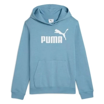 Afbeelding van PUMA ESS No. 1 Logo Hoodie FL G
