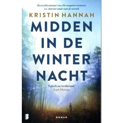 Afbeelding van Midden in de winternacht