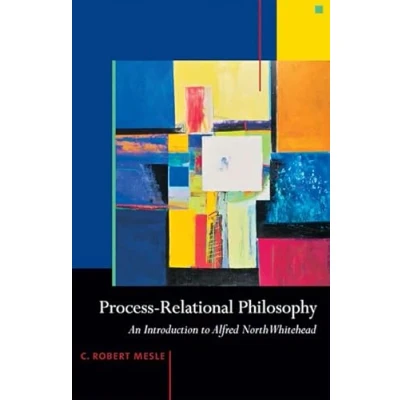 Afbeelding van Process Relational Philosophy
