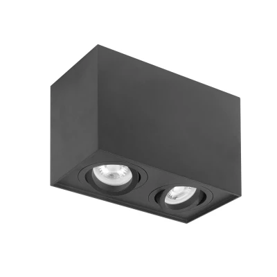 Afbeelding van HighLight plafondlamp Maxi Rebel 2L stelbaar rechthoek zwart