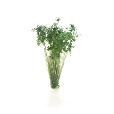 Afbeelding van Dark Green Shrubs Tufts