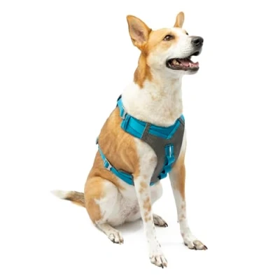 Afbeelding van Kurgo Journey Air Harness, hondenharnas voor hardlopen en wandelen, lichtgewicht, ademend, grootblauw