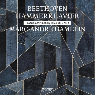 Afbeelding van Marc André Hamelin Beethoven: Hammerklavier (CD)