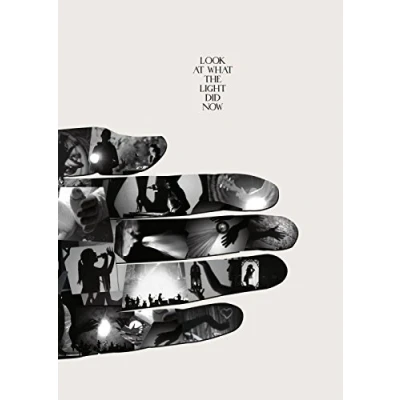 Afbeelding van Feist Look At What The Light Did Now (Dvd+Cd)