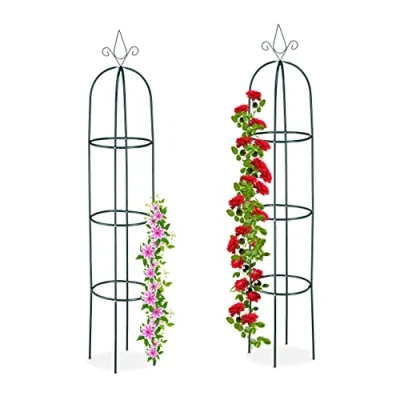 Afbeelding van Relaxdays Plantensteun set van 2 rankhulp obelisk meter metaal groen