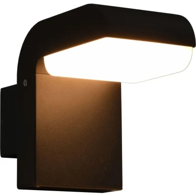 Afbeelding van vidaXL LED buitenwandlamp 9 W ovaal zwart