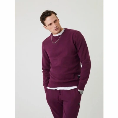 Afbeelding van Trui Bjorn Borg Centre Crew Grape Wine M