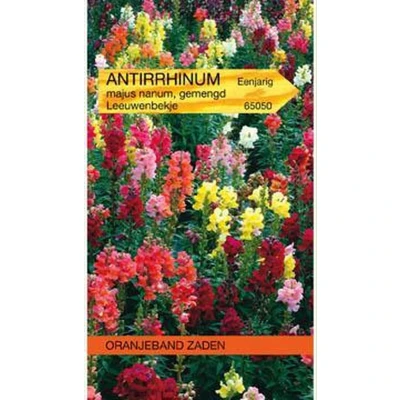 Afbeelding van Antirrhinum, Leeuwenbekje, half hoog gemengd