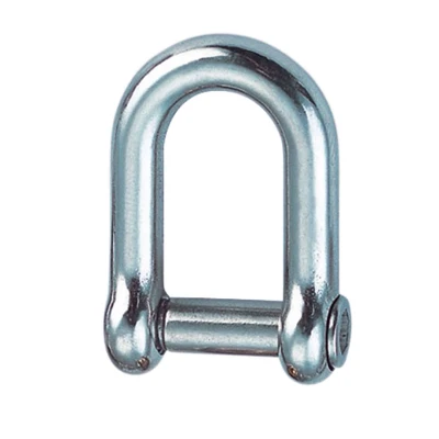 Afbeelding van RVS D sluiting met binnenzeskant 8 mm 316