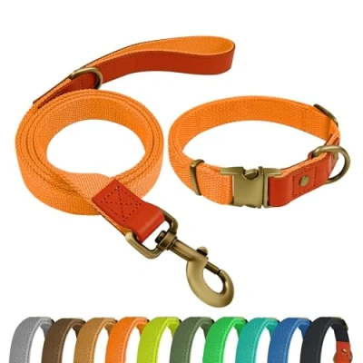 Afbeelding van Qianruida hondenhalsband en riem, set voor honden, halsband verstelbare kleine, middelgrote grote oranje, XL