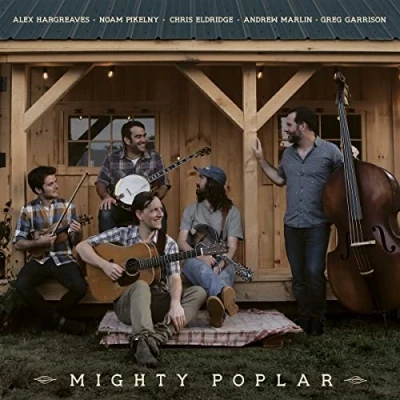 Afbeelding van Mighty Poplar (LP)