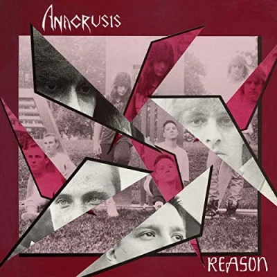 Afbeelding van Anacrusis Reason (2 LPs)