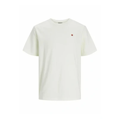 Afbeelding van R.D.D. ROYAL DENIM DIVISION oversized T shirt RDDROAD met logo ecr