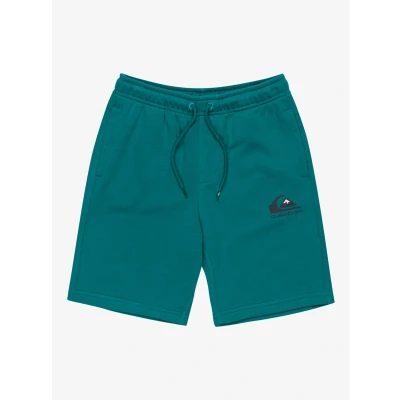 Afbeelding van Quiksilver EASY DAY Jogger Youth Trainingsbroek voor kinderen, Maat: 140, Teal green