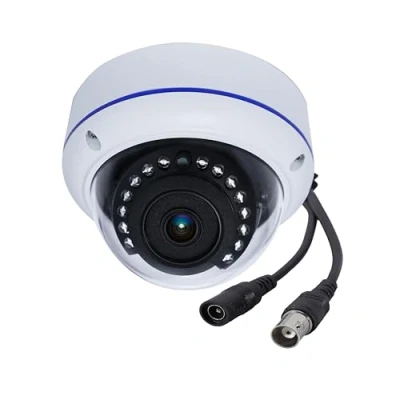 Afbeelding van HD 1080 P 2MP 180 Graden Bewakingscamera Bedrade Fisheye 1.7mm Lens Groothoek Dome Camera Outdoor 4 in 1 (TVI/AHD/CVI/BNC Analoge CCTV systeem) IR 15FT Nachtzicht DC12V