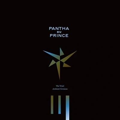 Afbeelding van Pantha Du Prince Triad (2 LPs)