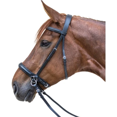 Afbeelding van Star Bitloos Hoofdstel Zwart Cob