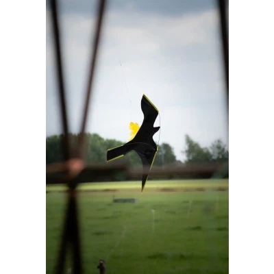 Afbeelding van Bird Bouncer vlieger compleet