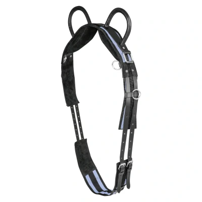 Afbeelding van Surcingle With Two Handles